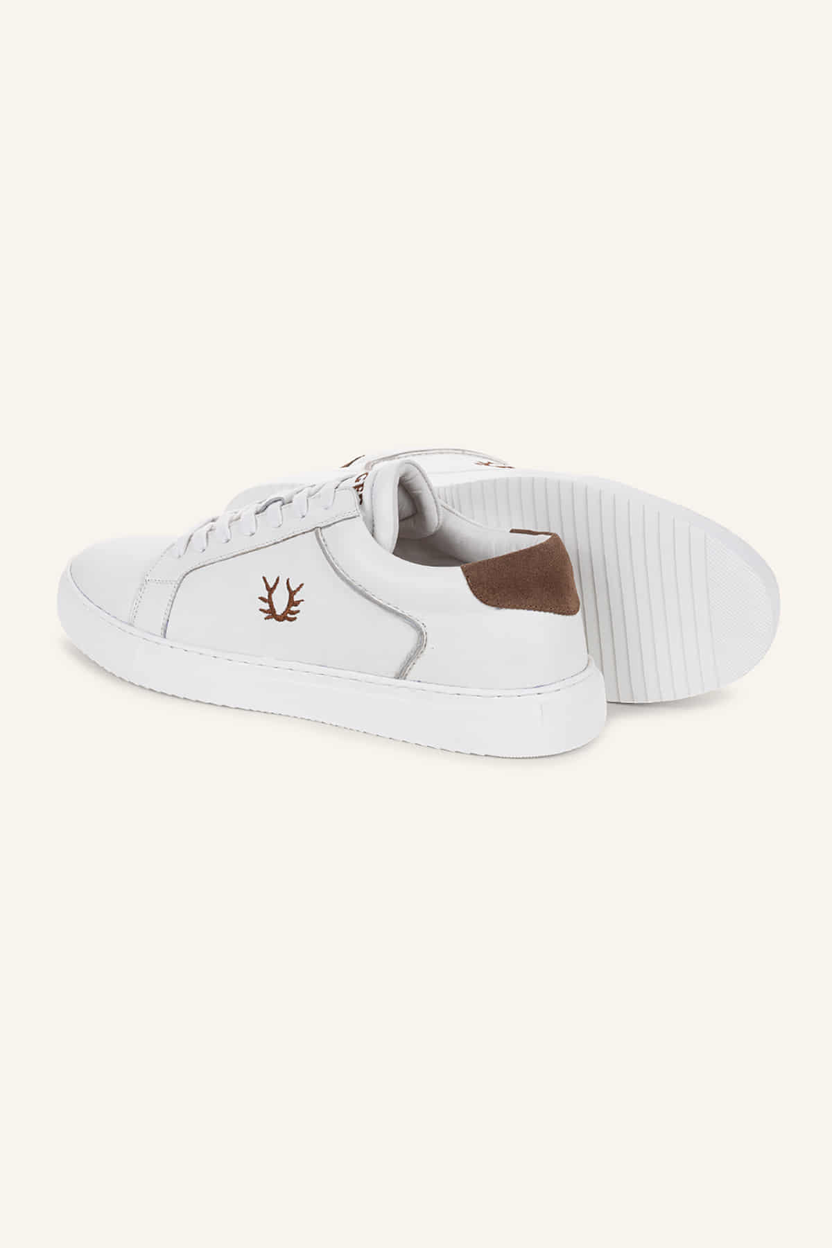 Sneaker Willy
