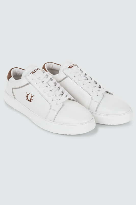 Sneaker Willy günstig online kaufen
