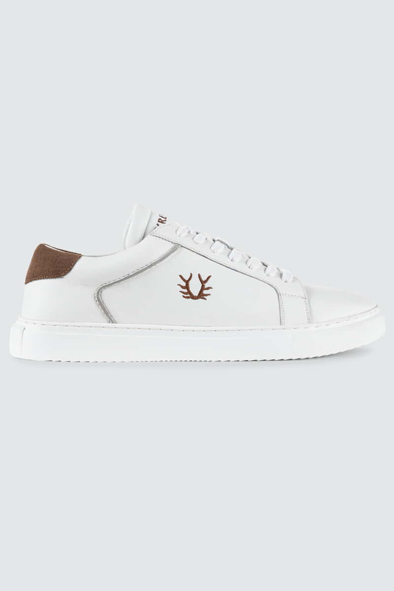 Sneaker Willy