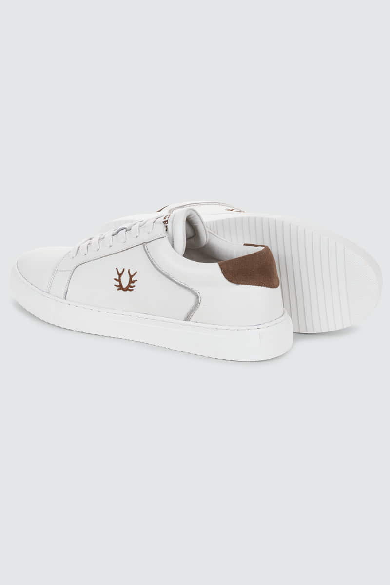 Sneaker Willy